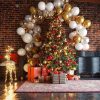 Ballonbue jul